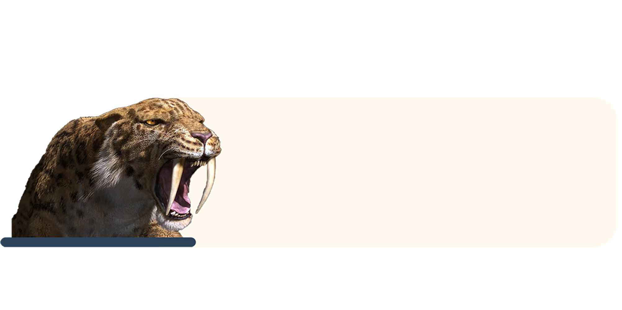 afbeelding2